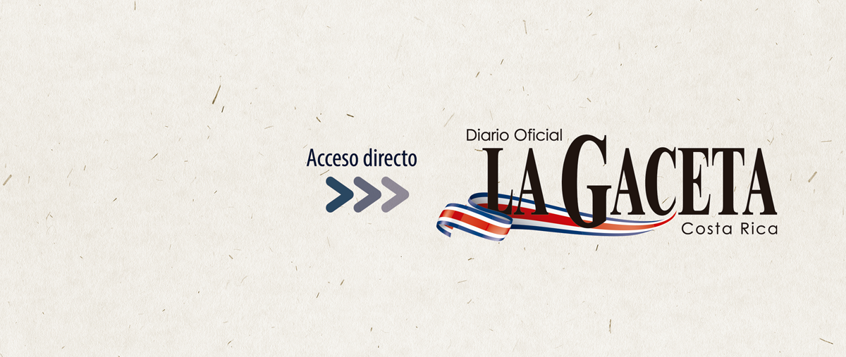 Ver edición